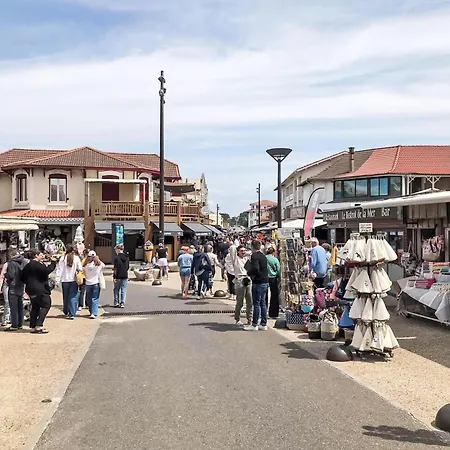 Sicard-10 By Interhome Mimizan-Plage