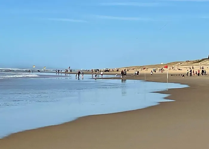 Sicard-10 By Interhome * Mimizan-Plage